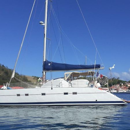 Catamaran Cypraea Hotel Terre-De-Haut Ngoại thất bức ảnh