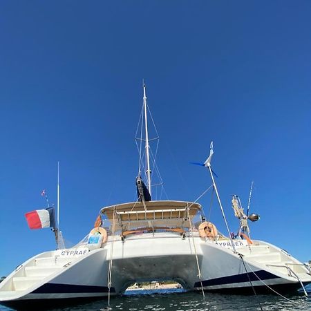 Catamaran Cypraea Hotel Terre-De-Haut Ngoại thất bức ảnh