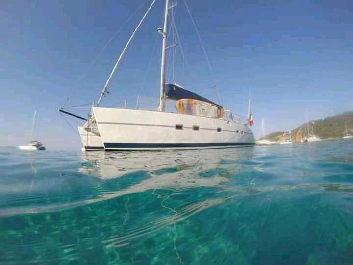 Catamaran Cypraea Hotel Terre-De-Haut Ngoại thất bức ảnh