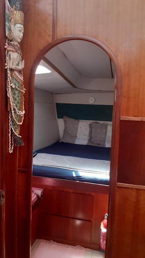 Catamaran Cypraea Hotel Terre-De-Haut Ngoại thất bức ảnh