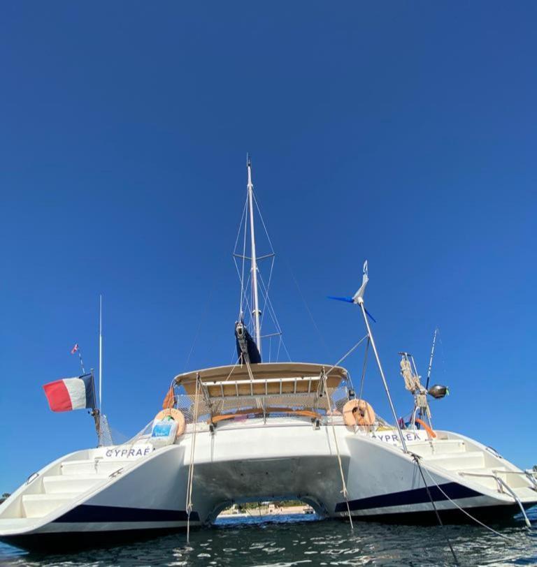 Catamaran Cypraea Hotel Terre-De-Haut Ngoại thất bức ảnh